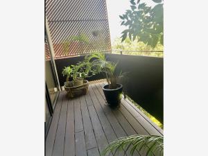 Casa en venta en Ampliación Alpes, Álvaro Obregón — foto 3 de 33