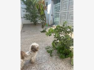 Bodega en venta en Lomas del Durazno, Morelia — foto 3 de 4