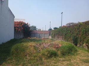 Terreno en venta en Sumiya, Jiutepec — foto 2 de 6