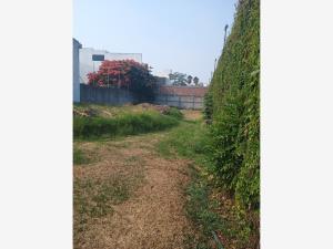 Terreno en venta en Sumiya, Jiutepec — foto 3 de 6