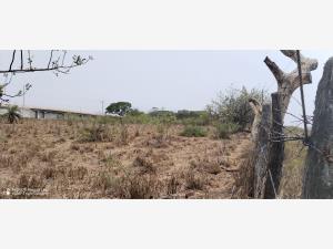 Terreno en venta en Delfino Victoria (santa Fe), Veracruz — foto 2 de 12