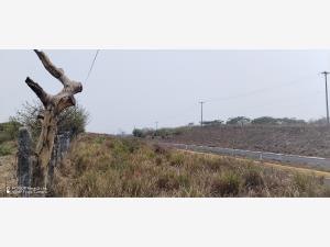Terreno en venta en Delfino Victoria (santa Fe), Veracruz — foto 3 de 12