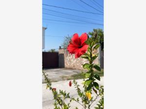 Bodega en venta en Panchimalco, Jojutla — foto 3 de 18