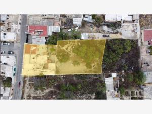 Terreno en venta en Saltillo Centro, Saltillo — foto 3 de 3
