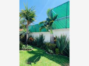 Casa en venta en San Jerónimo Ahuatepec, Cuernavaca — foto 3 de 20