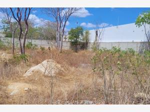 Terreno en venta en Conkal, Conkal — foto 2 de 30
