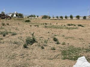 Terreno en venta en Mesillas, Amealco de Bonfil — foto 3 de 8