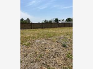 Terreno en venta en Residencial La Mezza, San Andrés Cholula — foto 3 de 4