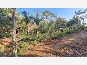 Terreno en venta en Monte Salas, Fortín — foto 2 de 12