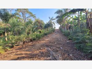 Terreno en venta en Monte Salas, Fortín — foto 3 de 12