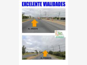Terreno en renta en Palmanova, Cadereyta Jiménez — foto 2 de 4