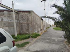 Terreno en venta en El Ranchito, Torreón — foto 3 de 16