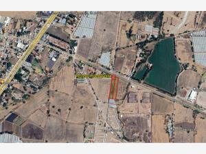 Terreno en venta en Buenavista, Tlajomulco de Zúñiga — foto 2 de 11