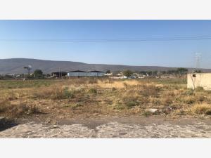 Terreno en venta en Buenavista, Tlajomulco de Zúñiga — foto 3 de 11
