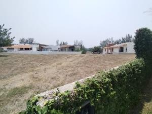 Terreno en venta en Vista Bella, Alvarado — foto 3 de 5