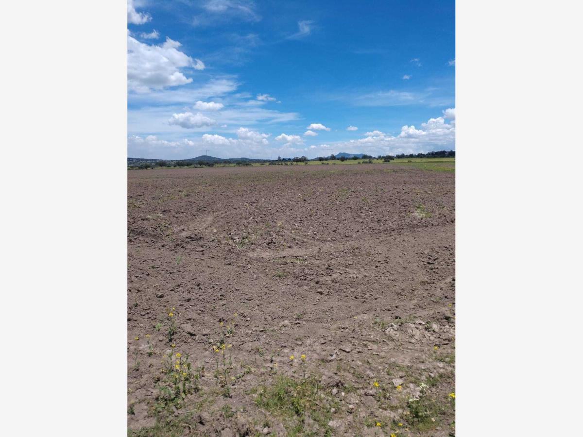 Terreno en venta en Tepetzingo, Nopaltepec — foto 1 de 5
