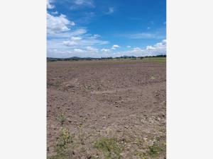 Terreno en venta en Tepetzingo, Nopaltepec, México