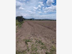 Terreno en venta en Tepetzingo, Nopaltepec — foto 2 de 5