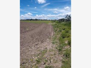 Terreno en venta en Tepetzingo, Nopaltepec — foto 3 de 5