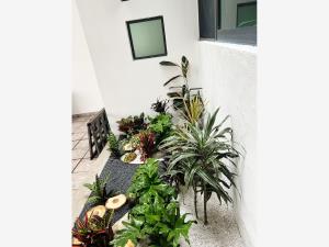 Casa en venta en Lomas de Angelópolis, San Andrés Cholula — foto 2 de 24
