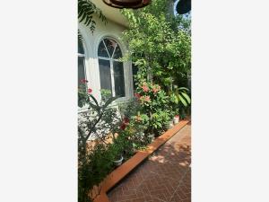 Casa en venta en Nuevo Moroleon, Moroleón — foto 3 de 21