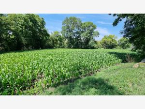 Terreno en venta en San Andrés (San Andrés Tultepec), Tula de Allende — foto 3 de 3