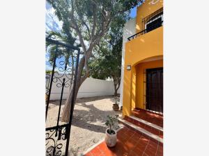 Casa en renta en San Antonio Cinta, Mérida — foto 3 de 14
