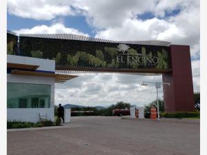Terreno en venta en El Encino, Huimilpan, Querétaro Terreno en venta en El Encino, Huimilpan, Querétaro
