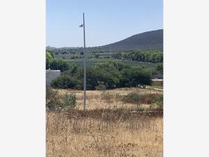 Terreno en venta en El Encino, Huimilpan — foto 2 de 5