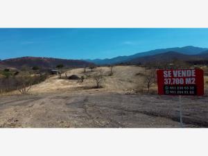 Terreno en venta en Reyes Etla, Reyes Etla — foto 3 de 3