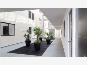 Departamento en venta en Santa Lucia, Álvaro Obregón — foto 3 de 64