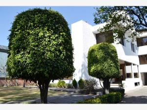 Casa en venta en Bosque de las Lomas, Miguel Hidalgo — foto 3 de 54