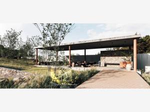 Terreno en venta en Potrero de Fray Ramón, Lagos de Moreno — foto 3 de 5