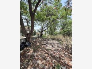 Terreno en venta en Lomas de Cocoyoc, Atlatlahucan — foto 3 de 8