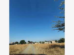 Terreno en venta en Yecapixteca, Yecapixtla — foto 2 de 4