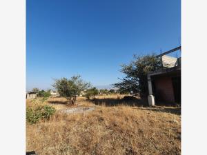 Terreno en venta en Yecapixteca, Yecapixtla — foto 3 de 4