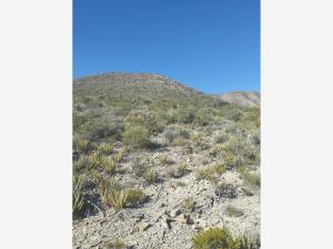 Terreno en venta en Las Tres Lomas, Parras — foto 2 de 5