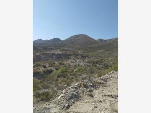 Terreno en venta en Las Tres Lomas, Parras — foto 3 de 5