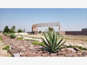 Terreno en venta en Lagos de Moreno Centro, Lagos de Moreno — foto 2 de 10