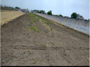 Terreno en venta en San Gaspar Tlahuelilpan, Metepec — foto 2 de 4