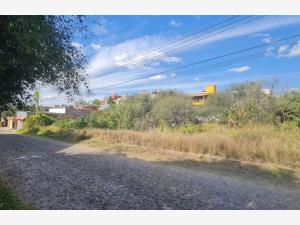 Terreno en venta en San Miguel de Allende Centro, San Miguel de Allende — foto 3 de 10