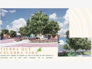 Terreno en venta en Bosque Real, Gómez Palacio — foto 3 de 10