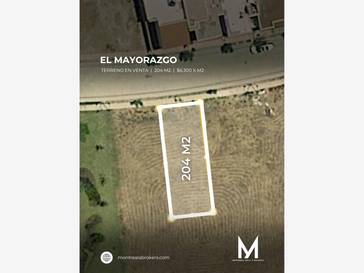 Terreno en venta en El Mayorazgo Residencial, León — foto 1 de 2