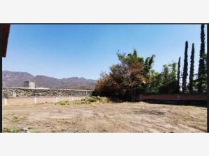 Terreno en venta en Oacalco, Yautepec — foto 3 de 14