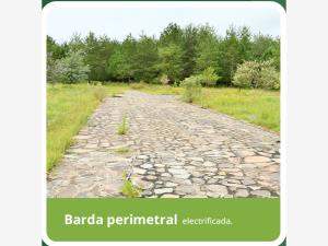 Terreno en venta en Tapalpa, Tapalpa — foto 2 de 6