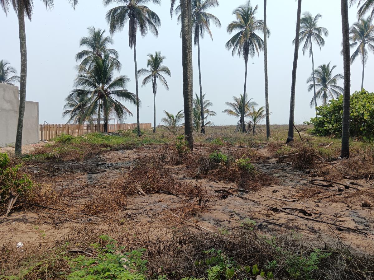 Terreno en venta en Carlos A. Madrazo, Centla — foto 1 de 9