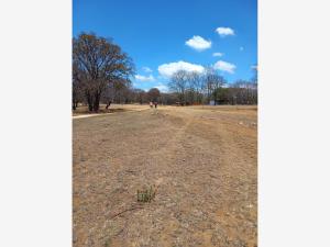 Terreno en venta en Loma de Don Juan, Villa del Carbón — foto 3 de 18