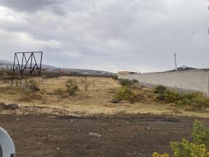 Terreno en venta en Vicente Guerrero, Apan — foto 2 de 10