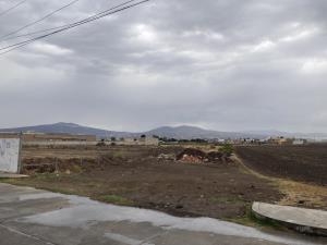 Terreno en venta en Vicente Guerrero, Apan — foto 3 de 10