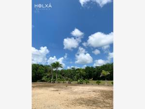 Terreno en venta en Santa Fe Cuajimalpa, Cuajimalpa de Morelos — foto 2 de 19